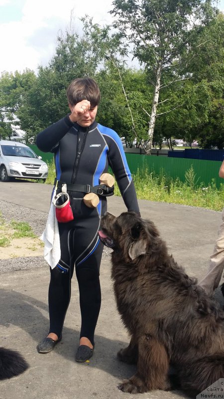 Фото: Елена Богданова, ньюфаундленд Ангел Хранитель Граффидд (Angel Khranitel Gruffidd)