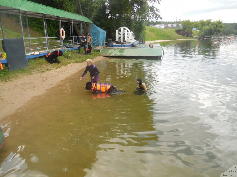 Фотография № 186987