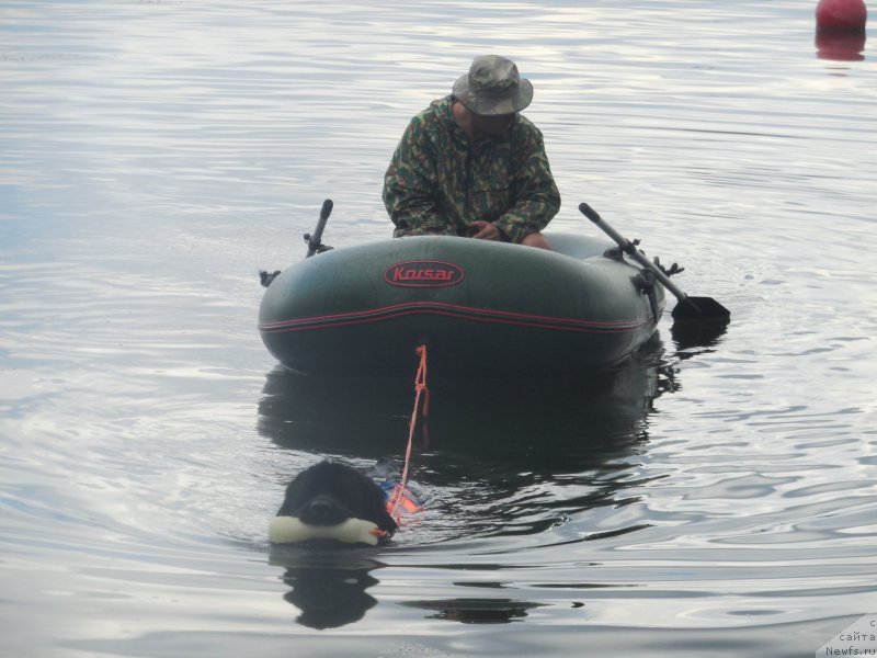 Фотография № 186992