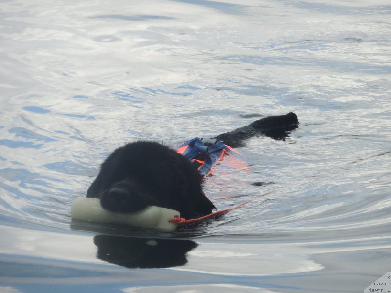 Фотография № 186993