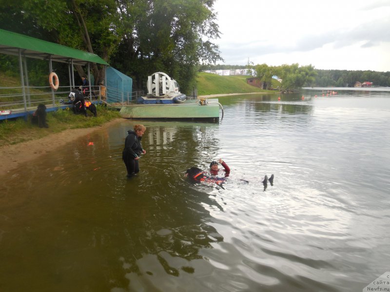 Фотография № 186996