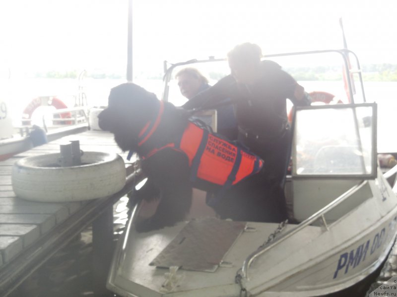 Фотография № 186998