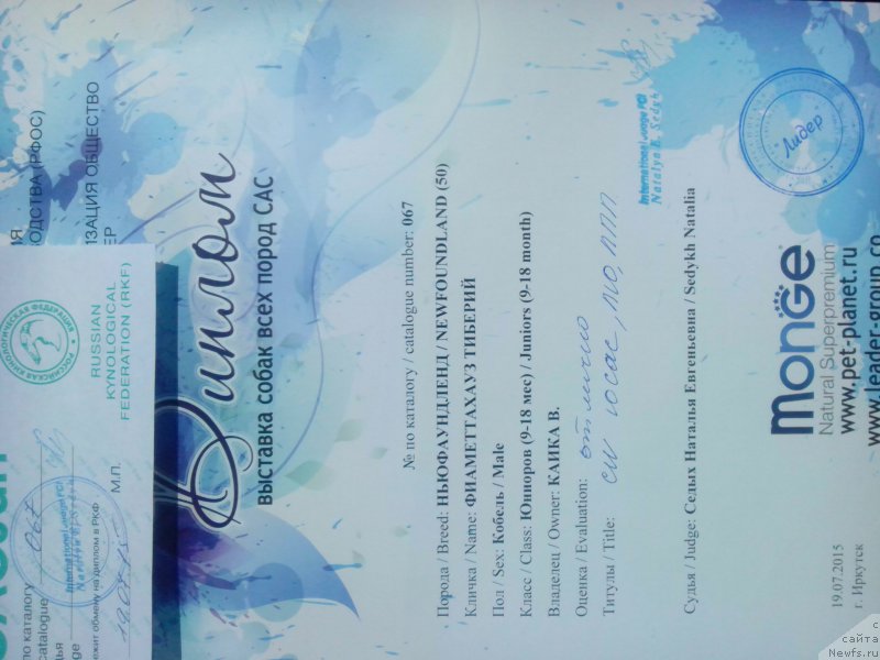 Фотография № 186999