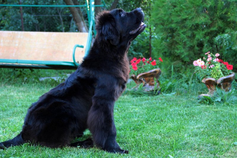 Фотография № 187008