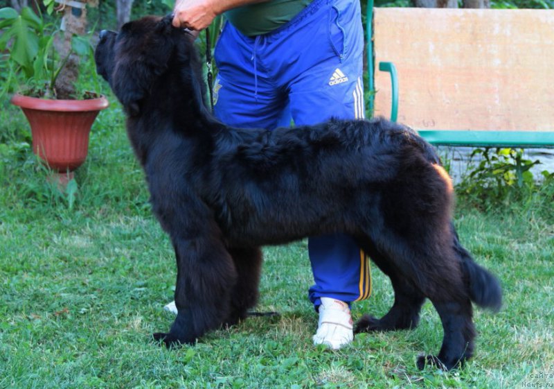 Фотография № 187011