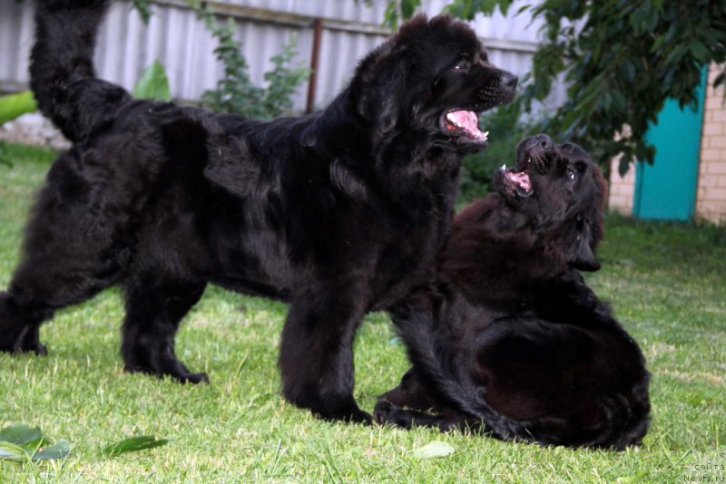 Фотография № 187014