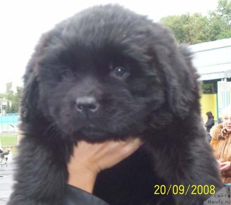 Фото: Сын(2) Барри Пейв Блейка и Джины