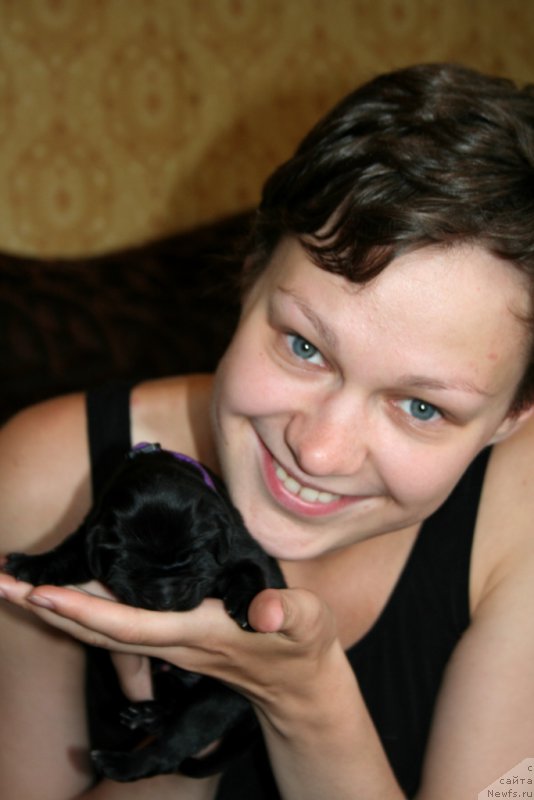 Фотография № 187114