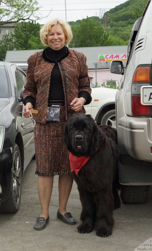 Фотография № 187161