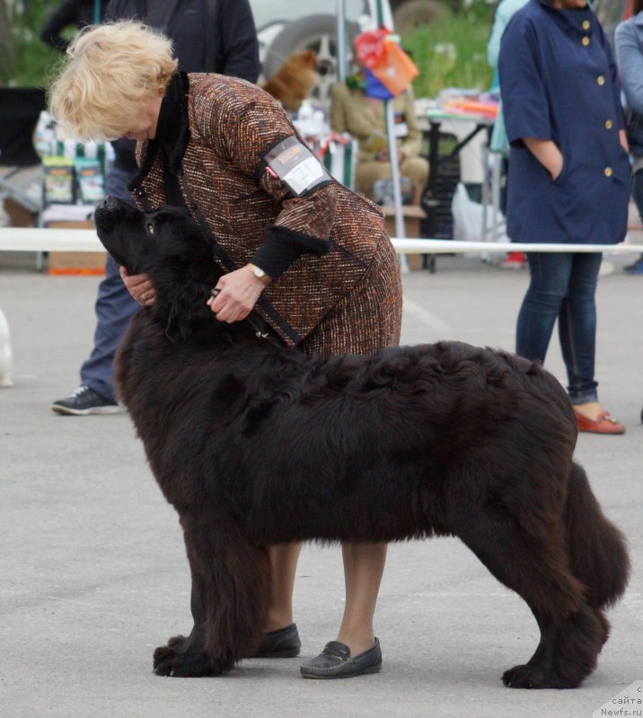 Фотография № 187167