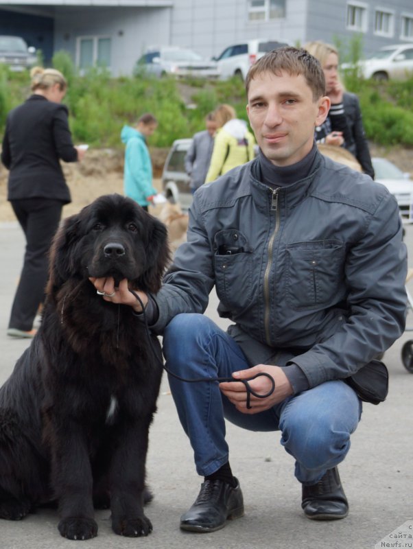 Фотография № 187170