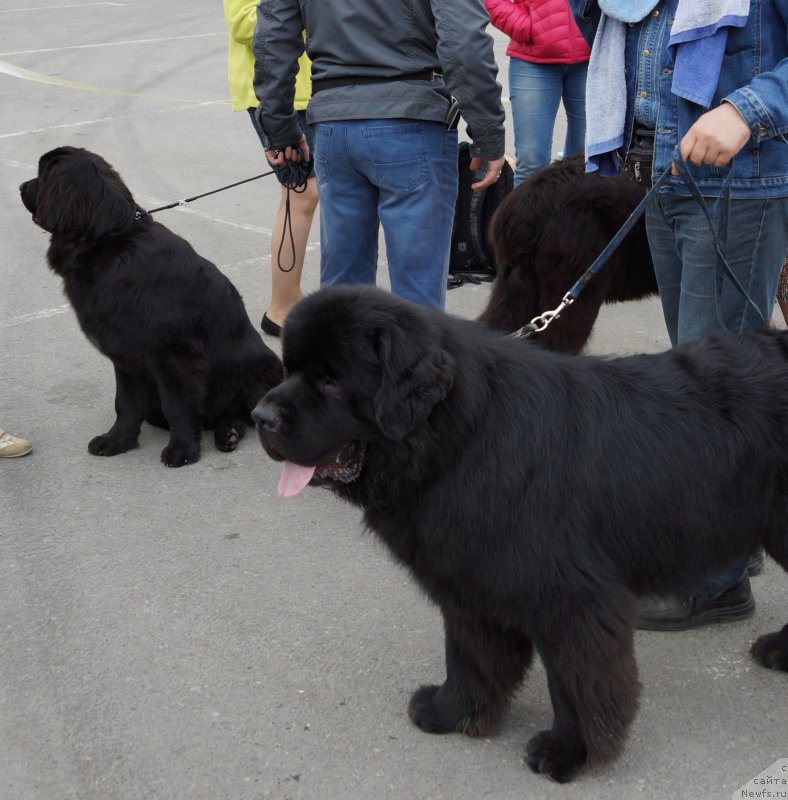 Фотография № 187172