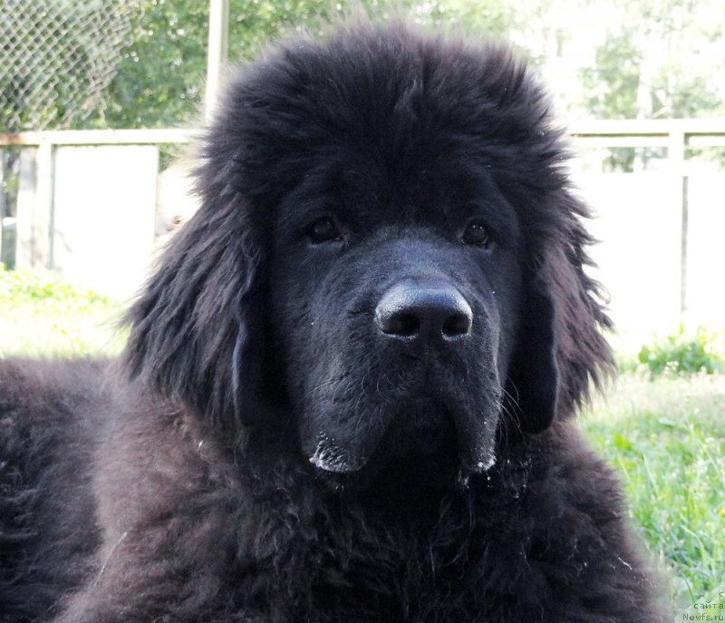 Фотография № 187180