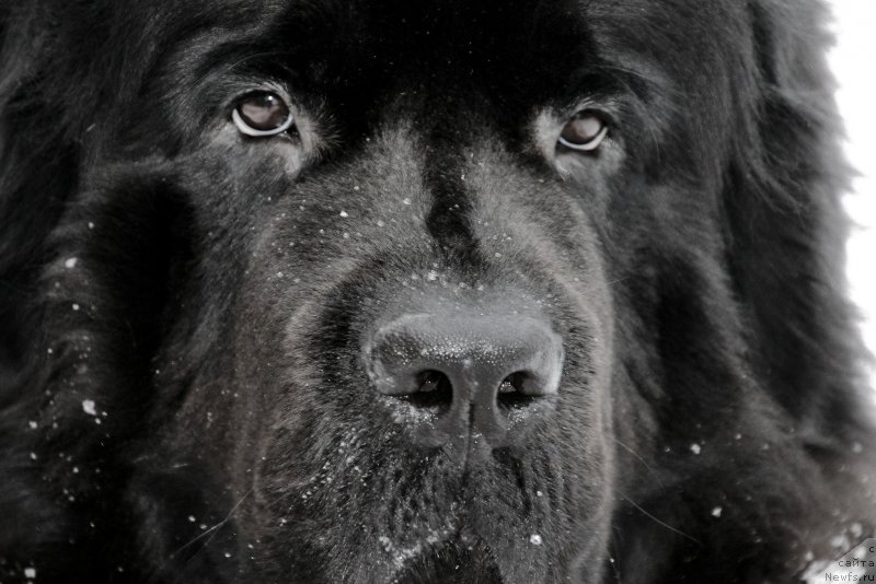 Фотография № 187184