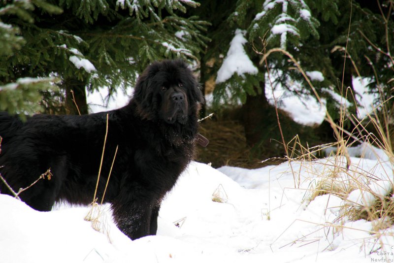 Фотография № 187186