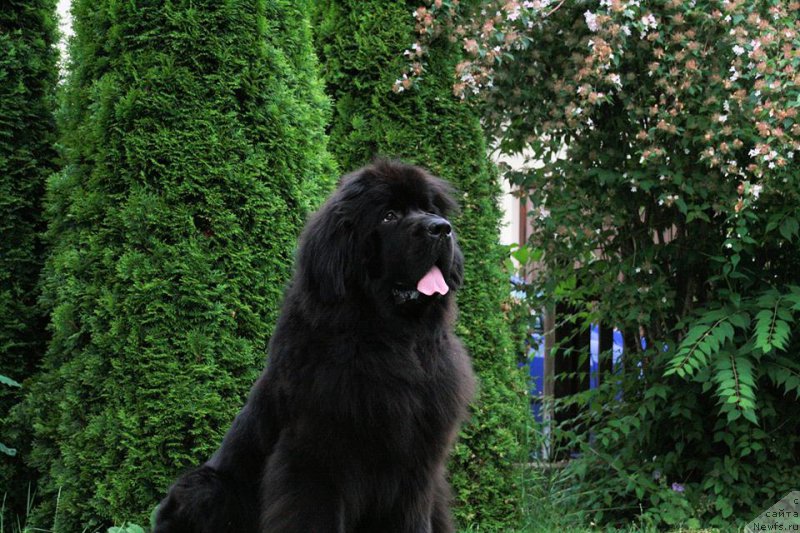 Фотография № 187188