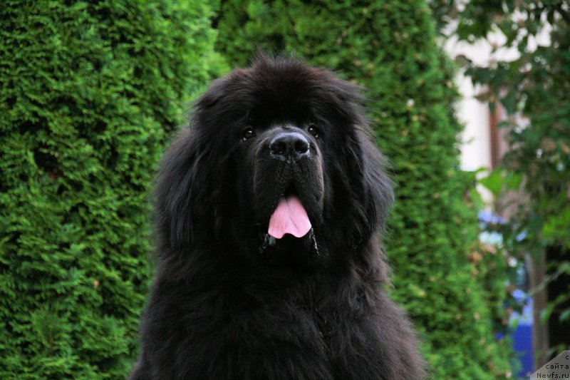 Фотография № 187189