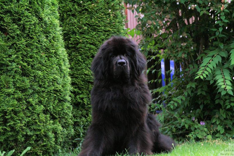 Фотография № 187191