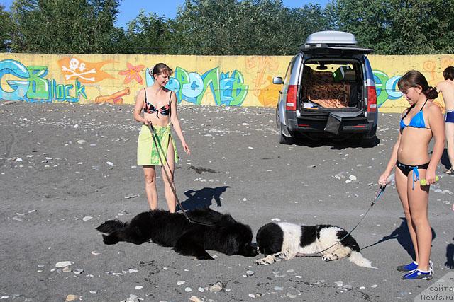 Фото: Мишель, Фрей