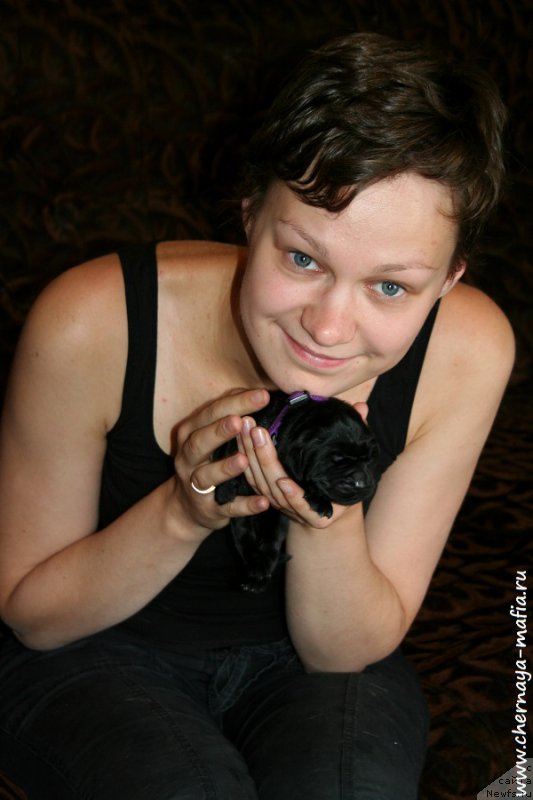 Фото: ньюфаундленд Черная Мафия А Кинд оф Магик (Chernaya Mafia А Kind of Magic), Ольга Соболева