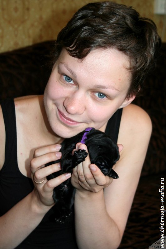 Фото: ньюфаундленд Черная Мафия А Кинд оф Магик (Chernaya Mafia А Kind of Magic), Ольга Соболева