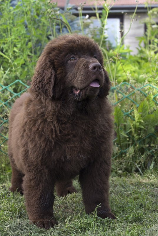 Фотография № 187291