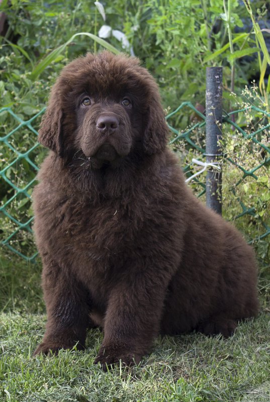 Фотография № 187292