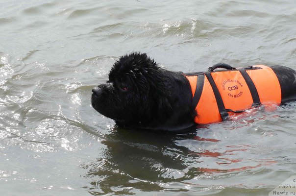 Фотография № 187296