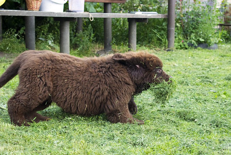 Фотография № 187311