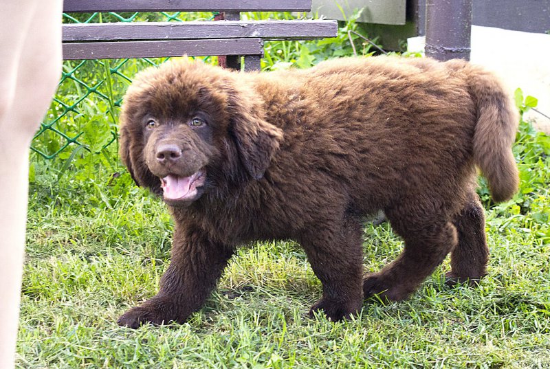 Фотография № 187315