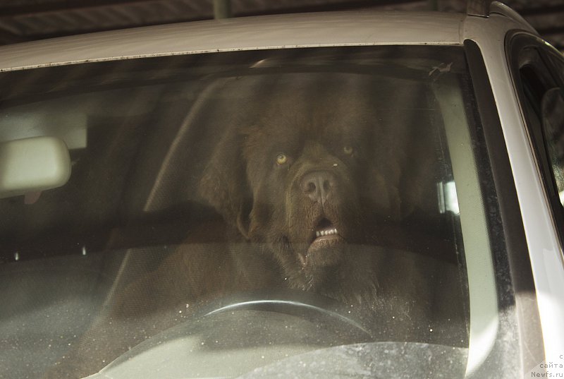 Фотография № 187335