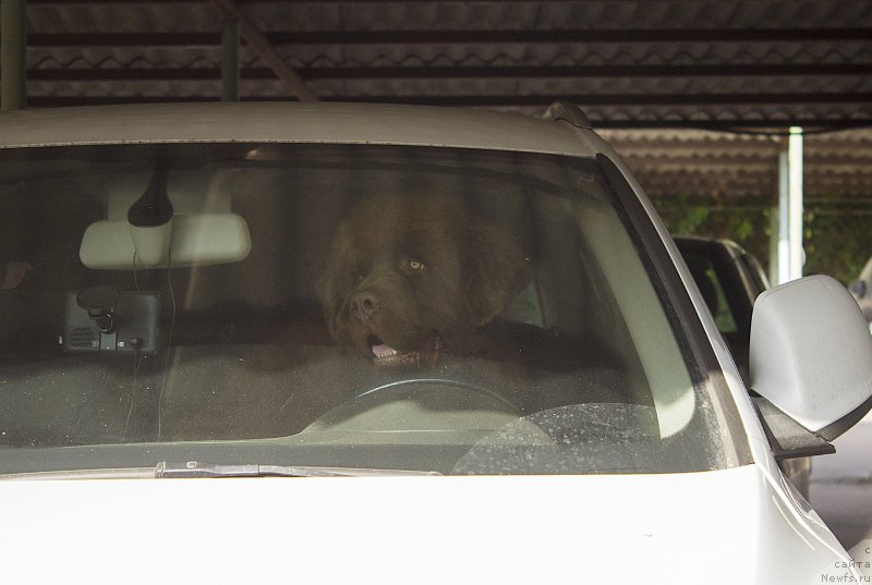 Фотография № 187336