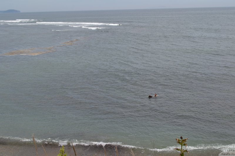 Фотография № 187341