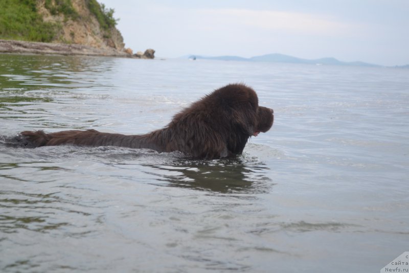 Фотография № 187342