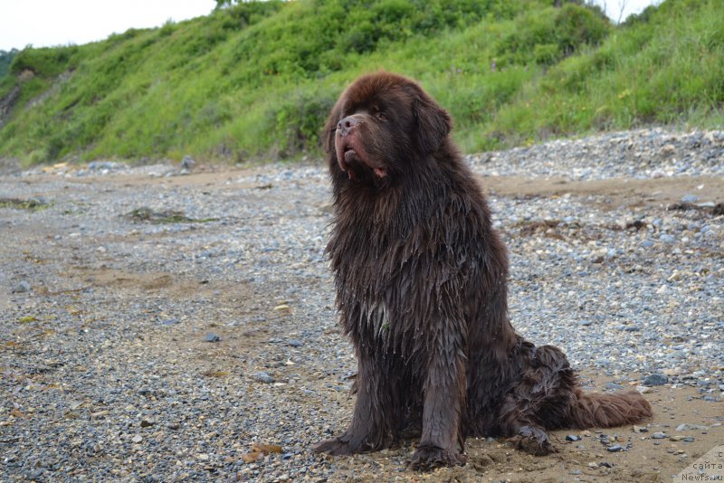 Фотография № 187344