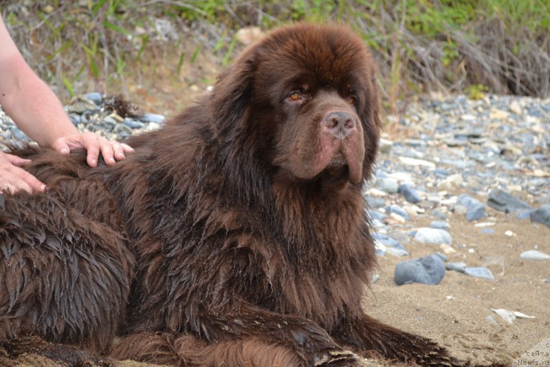 Фотография № 187345