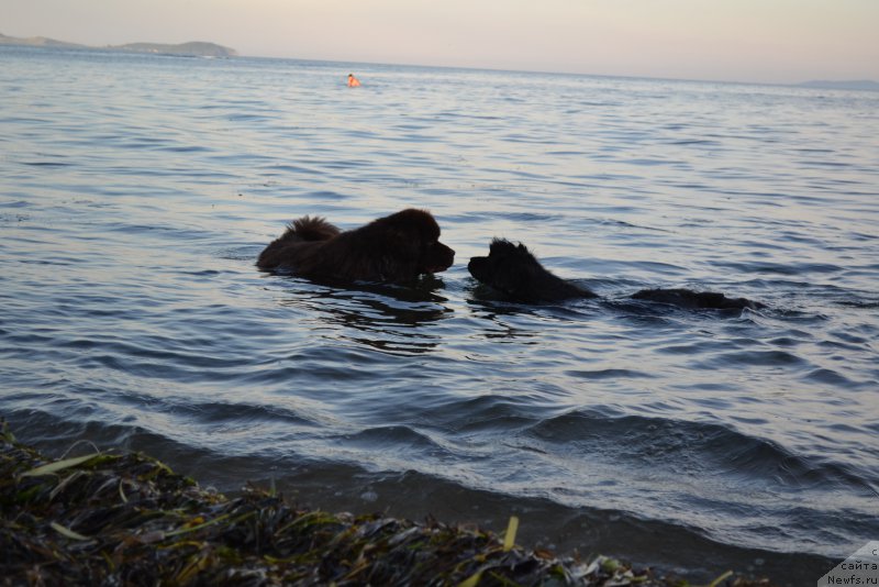 Фотография № 187346