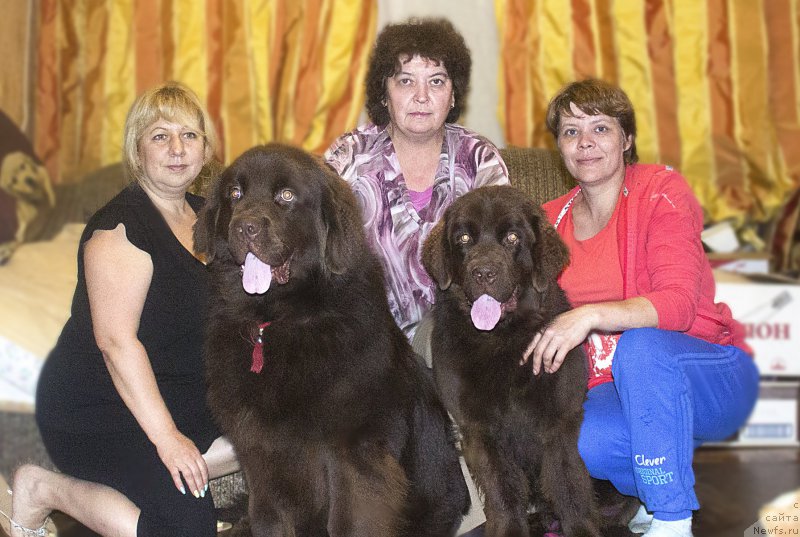 Фотография № 187350