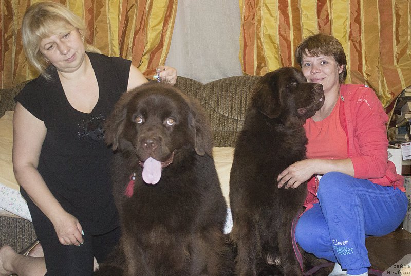 Фотография № 187351