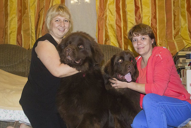 Фотография № 187353