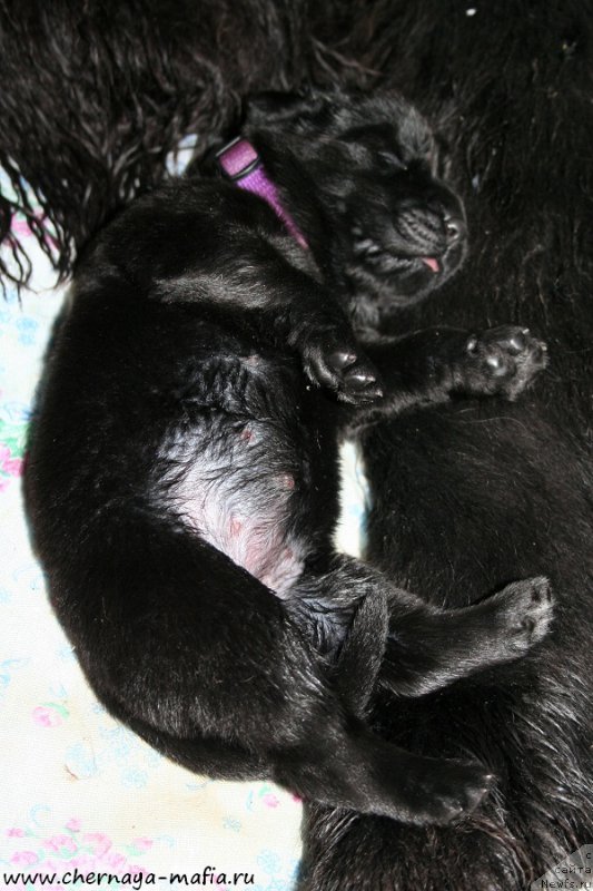 Фотография № 187373