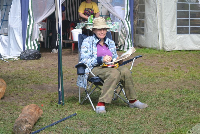 Фотография № 187381