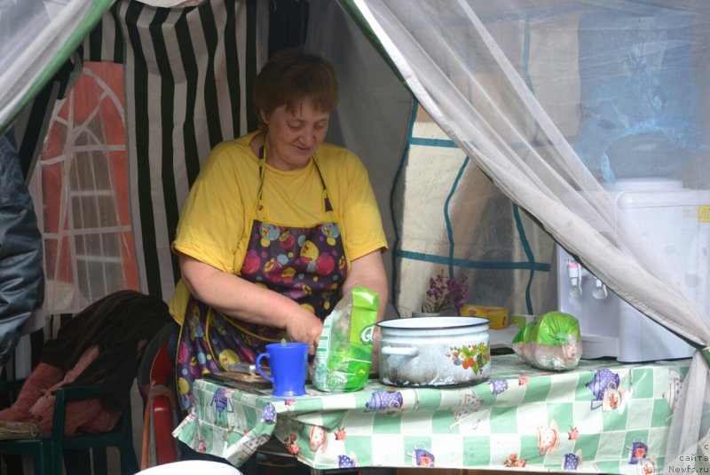 Фотография № 187382