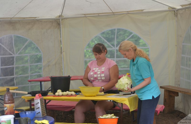 Фотография № 187383