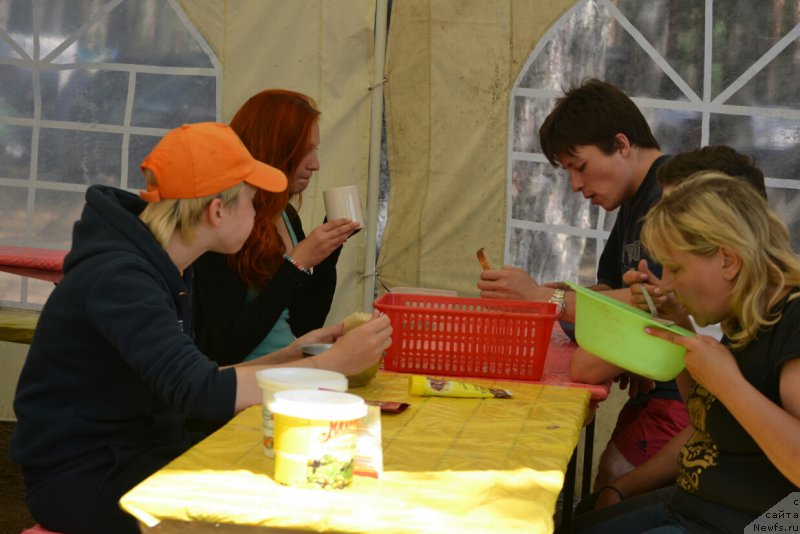 Фотография № 187384