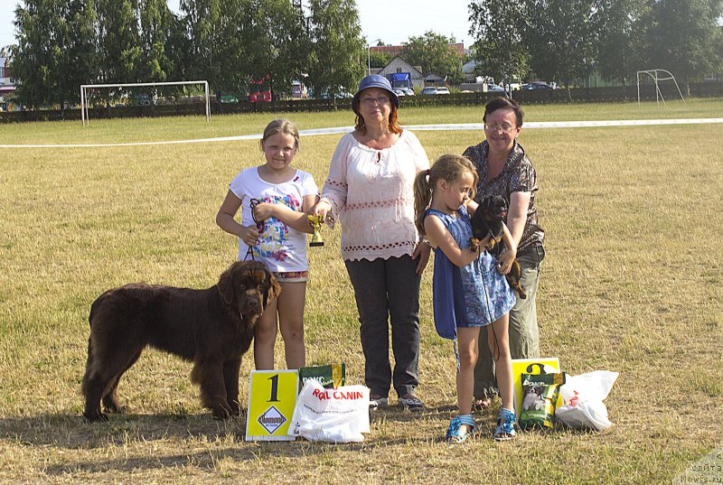 Фотография № 187387