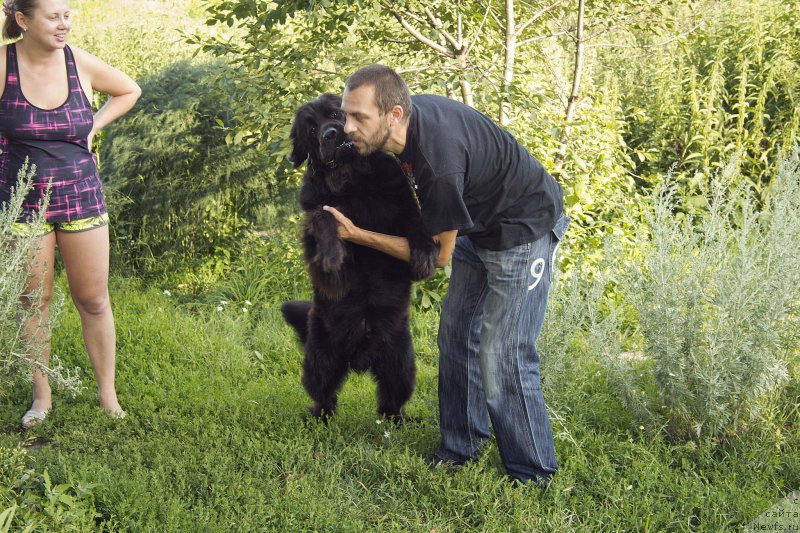 Фотография № 187391