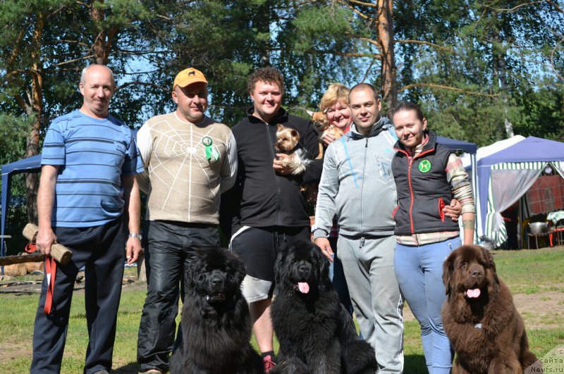 Фотография № 187399