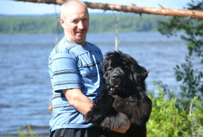 Фотография № 187402