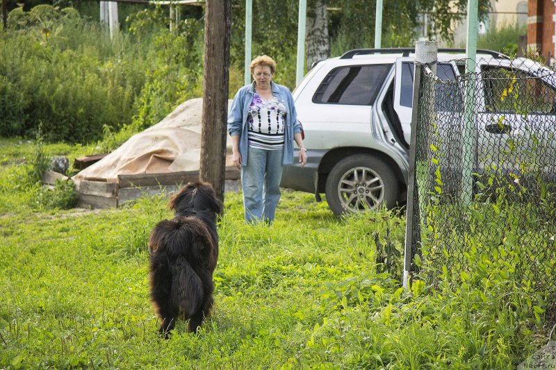 Фотография № 187403